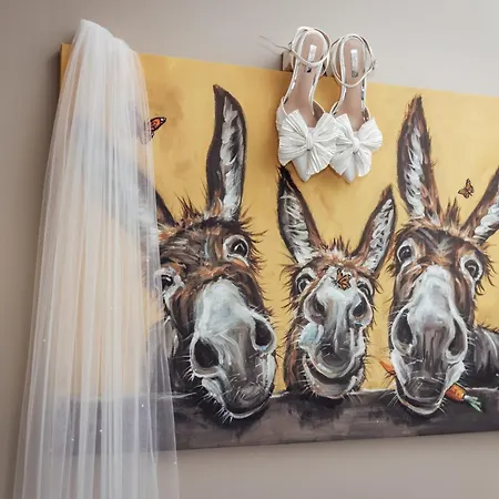 Appartement Rose Meadow