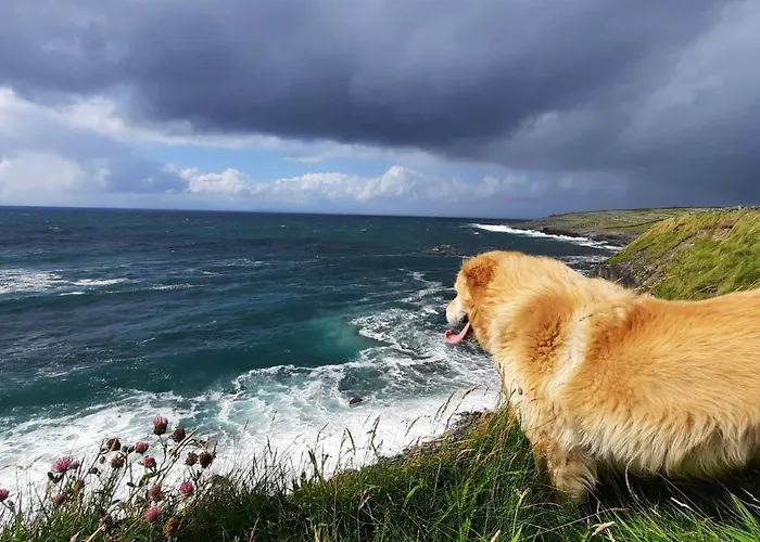 Rose Meadow Апартаменты Лисканнор